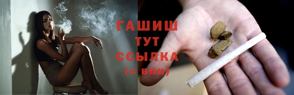 шишки Алексин